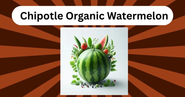 Chipotle Organic Watermelon, Chipotle fruit side, organic fruit snack, summer snack Chipotle, watermelon side dish, healthy Chipotle item, USDA organic fruit, fresh watermelon cubes, Chipotle seasonal fruit, low calorie Chipotle option.